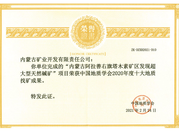 中国地质学会2020年度十大地质找矿成就